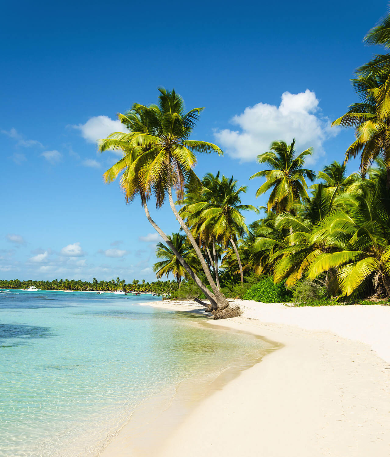 wyprawy na jamajkę jamaicayesi